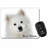 Samoyed Dog 