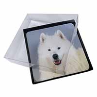 4x Samoyed Dog Picture Table Coasters Set in Gift Box