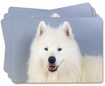 Samoyed Dog Picture Placemats in Gift Box