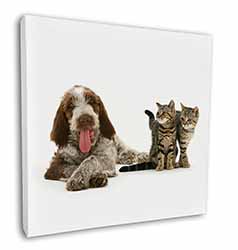 Italian Spinone Dog and Kittens Square Canvas 12"x12" Wall Art Picture Print