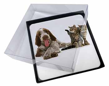 4x Italian Spinone Dog and Kittens Picture Table Coasters Set in Gift Box