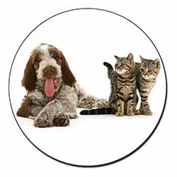 Italian Spinone Dog and Kittens Fridge Magnet Printed Full Colour