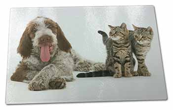 Large Glass Cutting Chopping Board Italian Spinone Dog and Kittens