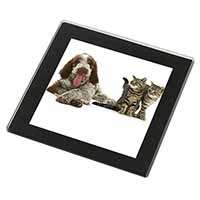 Italian Spinone Dog and Kittens Black Rim High Quality Glass Coaster
