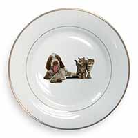 Italian Spinone Dog and Kittens Gold Rim Plate Printed Full Colour in Gift Box