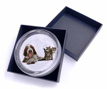 Italian Spinone Dog and Kittens Glass Paperweight in Gift Box