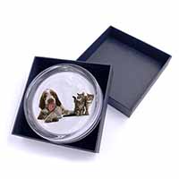 Italian Spinone Dog and Kittens Glass Paperweight in Gift Box