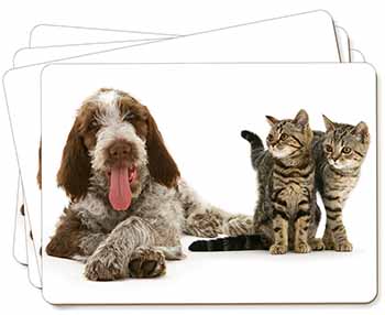 Italian Spinone Dog and Kittens Picture Placemats in Gift Box