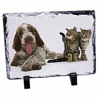 Italian Spinone Dog and Kittens, Stunning Photo Slate