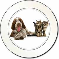 Italian Spinone Dog and Kittens Car or Van Permit Holder/Tax Disc Holder