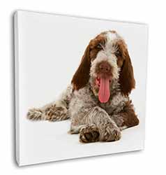 Italian Spinone Dog Square Canvas 12"x12" Wall Art Picture Print