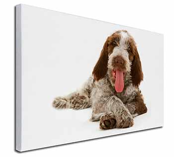 Italian Spinone Dog Canvas X-Large 30"x20" Wall Art Print