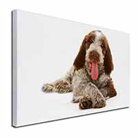 Italian Spinone Dog Canvas X-Large 30"x20" Wall Art Print