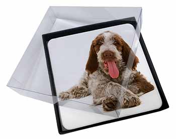 4x Italian Spinone Dog Picture Table Coasters Set in Gift Box