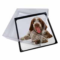 4x Italian Spinone Dog Picture Table Coasters Set in Gift Box