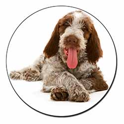 Italian Spinone Dog Fridge Magnet Printed Full Colour