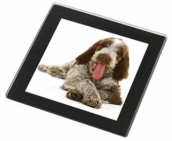 Italian Spinone Dog Black Rim High Quality Glass Coaster