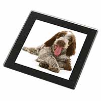 Italian Spinone Dog Black Rim High Quality Glass Coaster