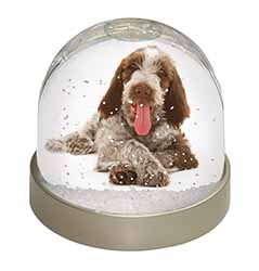 Italian Spinone Dog Snow Globe Photo Waterball