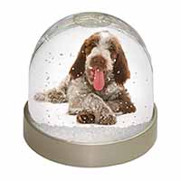 Italian Spinone Dog Snow Globe Photo Waterball