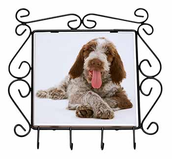 Italian Spinone Dog Wrought Iron Key Holder Hooks