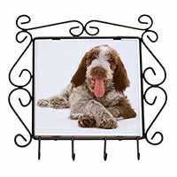 Italian Spinone Dog Wrought Iron Key Holder Hooks