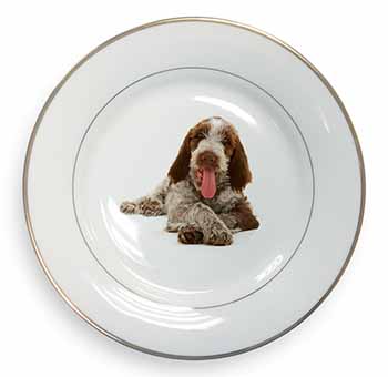 Italian Spinone Dog Gold Rim Plate Printed Full Colour in Gift Box