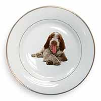 Italian Spinone Dog Gold Rim Plate Printed Full Colour in Gift Box