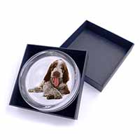 Italian Spinone Dog Glass Paperweight in Gift Box