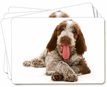 Italian Spinone Dog Picture Placemats in Gift Box