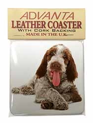 Italian Spinone Dog Single Leather Photo Coaster