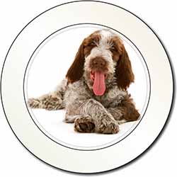 Italian Spinone Dog Car or Van Permit Holder/Tax Disc Holder