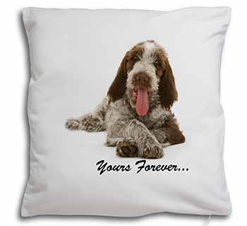 Italian Spinone Dog 