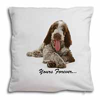 Italian Spinone Dog 