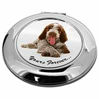 Italian Spinone Dog 