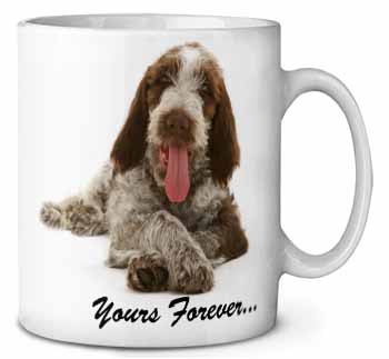 Italian Spinone Dog 