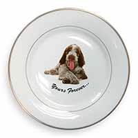 Italian Spinone Dog 