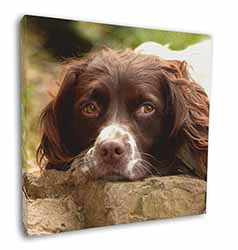 Springer Spaniel Dog Square Canvas 12"x12" Wall Art Picture Print