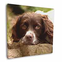 Springer Spaniel Dog Square Canvas 12"x12" Wall Art Picture Print
