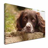 Springer Spaniel Dog Canvas X-Large 30"x20" Wall Art Print