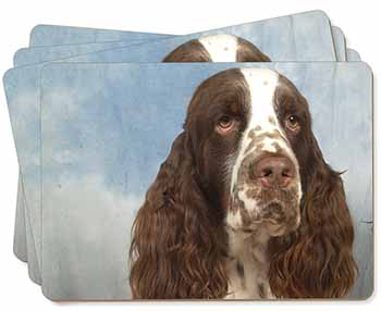 Springer Spaniel Picture Placemats in Gift Box