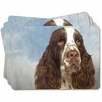 Springer Spaniel Picture Placemats in Gift Box