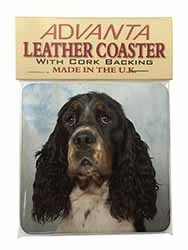 Springer Spaniel Dogs Single Leather Photo Coaster