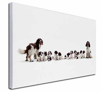 Springer Spaniel Dogs Canvas X-Large 30"x20" Wall Art Print