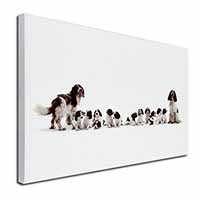 Springer Spaniel Dogs Canvas X-Large 30"x20" Wall Art Print