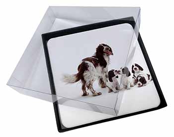 4x Springer Spaniel Dogs Picture Table Coasters Set in Gift Box