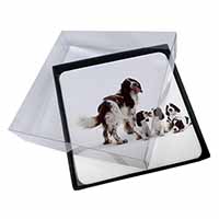 4x Springer Spaniel Dogs Picture Table Coasters Set in Gift Box