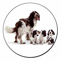 Springer Spaniel Dogs Fridge Magnet Printed Full Colour