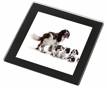 Springer Spaniel Dogs Black Rim High Quality Glass Coaster