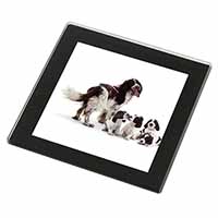 Springer Spaniel Dogs Black Rim High Quality Glass Coaster